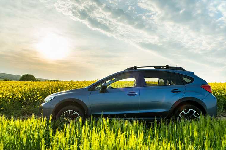 A car parking on the grass